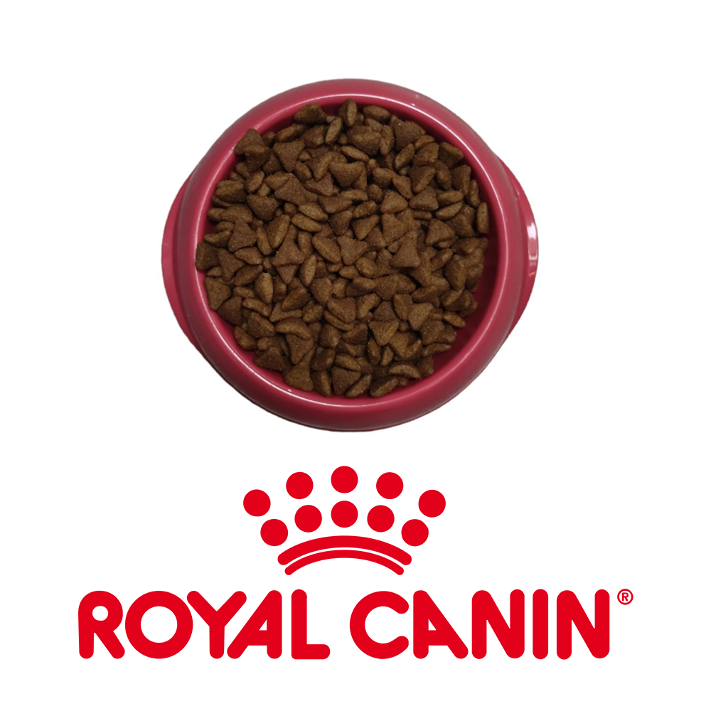 Royal Canin Care Hairball насипно (1 кг) - суха храна за котки, помагаща за контрола на космените топки.