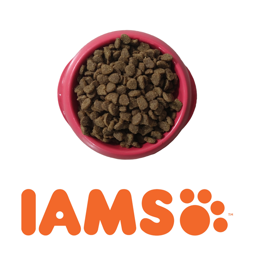 IAMS Суха храна за котки Adult Indoor пилешко насипно 1 кг