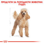 ROYAL CANIN® POODLE ADULT 1.5 кг - Image 3