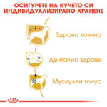 ROYAL CANIN® POODLE ADULT 1.5 кг - Image 5