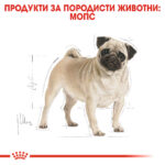 ROYAL CANIN® PUG ADULT - 1.5кг - Image 3