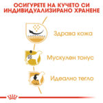 ROYAL CANIN® PUG ADULT - 1.5кг - Image 5