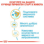 ROYAL CANIN® CHIHUAHUA PUPPY - 500 гр - Image 5