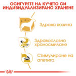 ROYAL CANIN® CHIHUAHUA Pouch 85g - Image 3