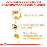 ROYAL CANIN® YORKSHIRE TERRIER Pouch 85 гр. - Image 3