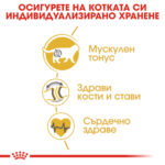 ROYAL CANIN® BRITISH SHORTHAIR - 10 кг - Image 4