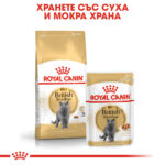 ROYAL CANIN® BRITISH SHORTHAIR - 10 кг - Image 5