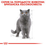 ROYAL CANIN® BRITISH SHORTHAIR pauch - Image 3
