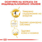 ROYAL CANIN® BRITISH SHORTHAIR pauch - Image 4