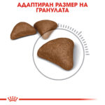ROYAL CANIN® CARE HAIRBALL - 2 кг - Image 3
