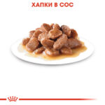 ROYAL CANIN® CARE DIGEST SENSITIVE pauch - Image 3