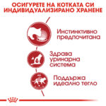 ROYAL CANIN® INSTINCTIVE IN GRAVY pauch - Image 3