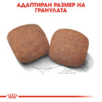 Royal Canin Giant Adult 15 кг – Пълноценна храна за кучета от гигантски породи - Image 4