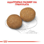 ROYAL CANIN® MEDIUM ADULT - 10 кг - Image 4