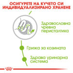 ROYAL CANIN® X-SMALL ADULT 1.5кг - Image 3