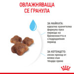 ROYAL CANIN® MOTHER & BABYCAT - 4 кг - Image 4