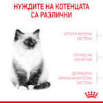 ROYAL CANIN® KITTEN - 400 гр - Image 3
