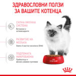 ROYAL CANIN® KITTEN - 400 гр - Image 4