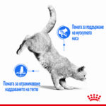 ROYAL CANIN® LIGHT WEIGHT CARE - 1.5 кг - Image 2