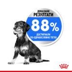 ROYAL CANIN® MINI LIGHT WEIGHT CARE - 3 кг - Image 3