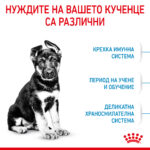 ROYAL CANIN® MAXI PUPPY - 12 кг - Image 10