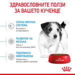 ROYAL CANIN® MINI PUPPY - 2 кг - Image 4