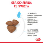 ROYAL CANIN® MINI STARTER MOTHER & BABYDOG - 4 кг - Image 5