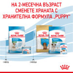 ROYAL CANIN® MINI STARTER MOTHER & BABYDOG - 4 кг - Image 6