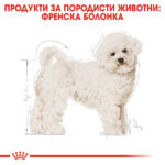 ROYAL CANIN® BICHON FRISE ADULT 1,5 кг - Image 4