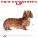 ROYAL CANIN® DACHSHUND ADULT - 1,5 кг - Image 3
