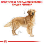 ROYAL CANIN® GOLDEN RETRIEVER ADULT - 12 кг - Image 3