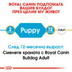 ROYAL CANIN® BULLDOG PUPPY - 12 кг - Image 3