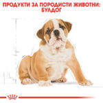 ROYAL CANIN® BULLDOG PUPPY - 12 кг - Image 6
