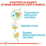 ROYAL CANIN® PUG PUPPY - 1,5 кг - Image 5