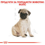 ROYAL CANIN® PUG PUPPY - 1,5 кг - Image 6