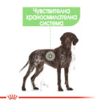 ROYAL CANIN® MAXI DIGESTIVE CARE - 12 кг - Image 3