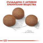 ROYAL CANIN® MAXI DIGESTIVE CARE - 12 кг - Image 5