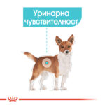 ROYAL CANIN® MINI URINARY - 3 кг - Image 3