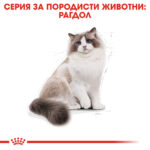 ROYAL CANIN® RAGDOLL - 10 кг - Image 2