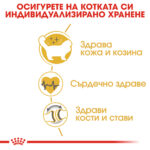 ROYAL CANIN® RAGDOLL - 10 кг - Image 4