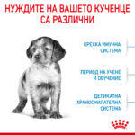 ROYAL CANIN® MEDIUM PUPPY - 4 кг - Image 3