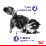 ROYAL CANIN® APPETITE CONTROL pauch - Image 2