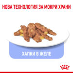 ROYAL CANIN® INDOOR in JELLY pauch - Image 4
