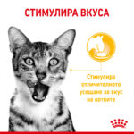 ROYAL CANIN® SENSORY TASTE in GRAVY pauch - Image 2