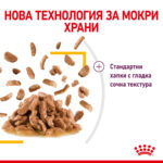ROYAL CANIN® SENSORY TASTE in GRAVY pauch - Image 4
