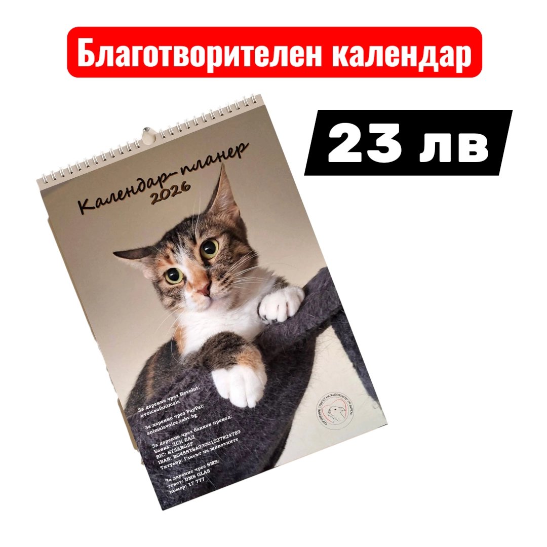 2024/11/32215.jpg Благотворителен календар с котки 2026 -за закачане „Мъркащи съдби“, дарение за СНЦ „Гласът на животните“ Бургас - Image 1