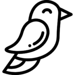 ПТИЦИ